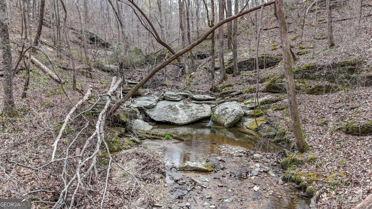 0 Felton Rockmart Road Buchanan, GA 30113 - Photo 6 of 47