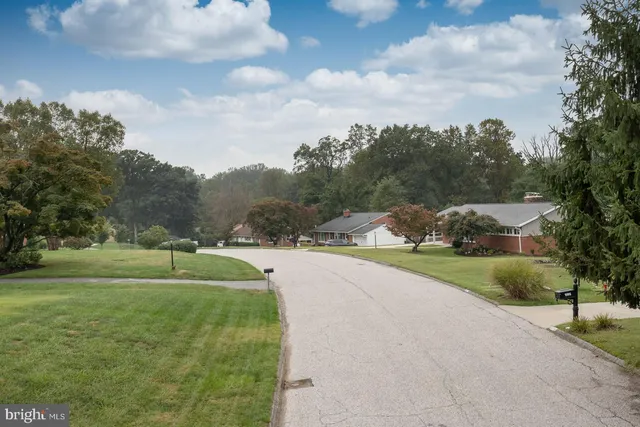 a view of a street with a large trees