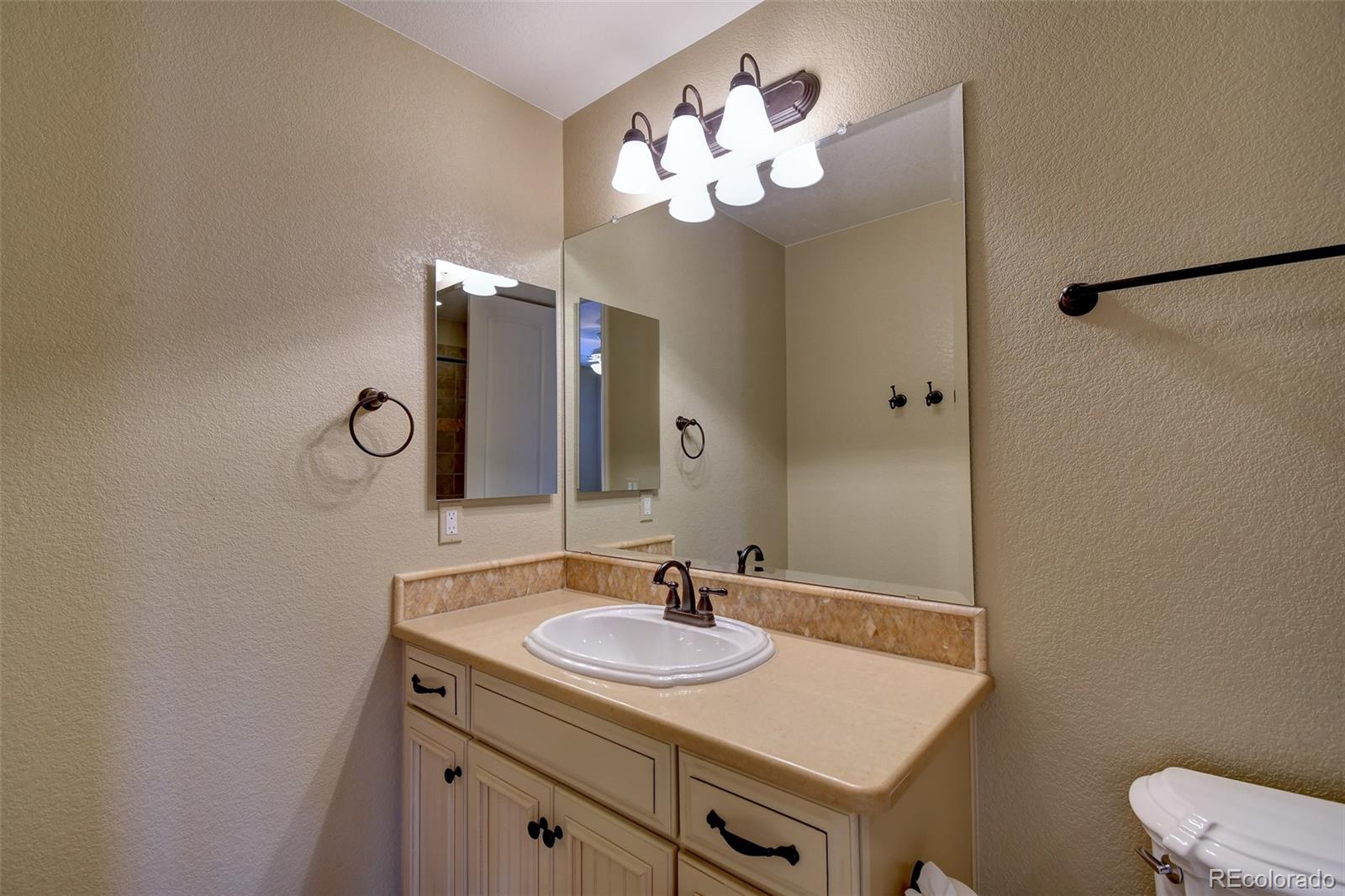 9339 Viaggio Way Highlands Ranch, CO 80126 - Photo 29 of 50