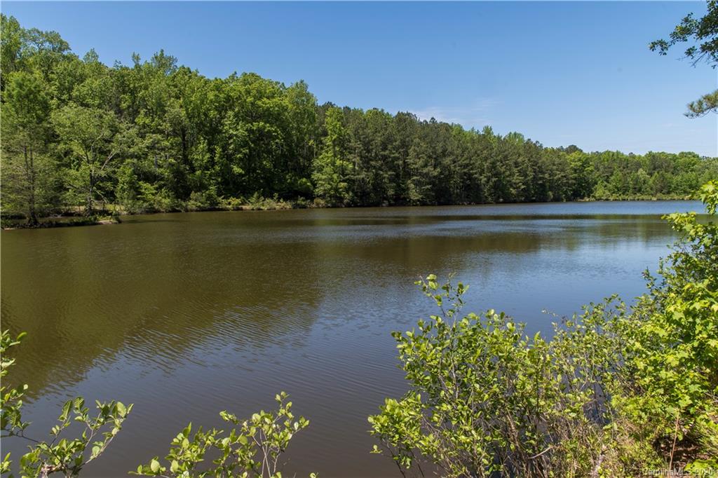 358 Friendship Road Camden, SC 29020 - Photo 14 of 22 Gallery Image 14