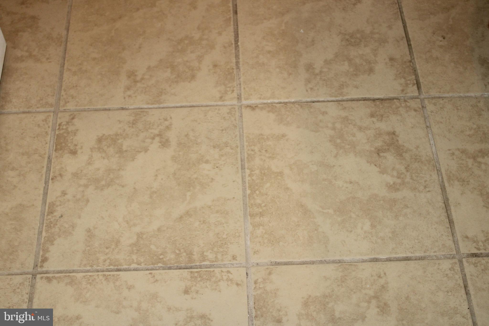 28380 Beaver Dam Branch Road Laurel, DE 19956 - Photo 12 of 22 a bathroom with a shower