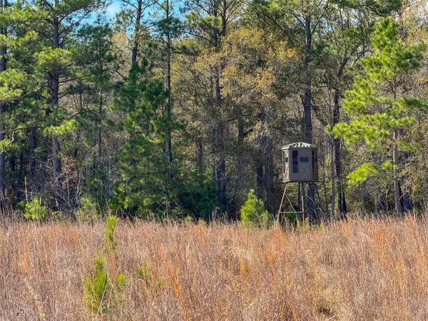 $1,182,500 | 0 Hwy 61 Devers Tx 77538, Devers, TX 77538