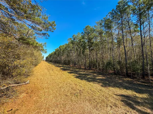 $1,182,500 | 0 Hwy 61 Devers Tx 77538, Devers, TX 77538
