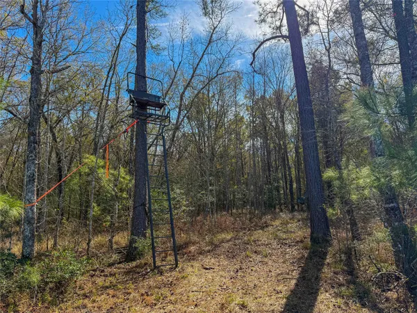 $1,182,500 | 0 Hwy 61 Devers Tx 77538, Devers, TX 77538