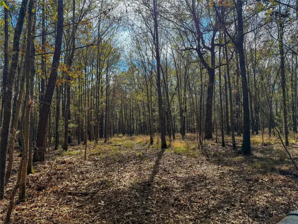 $1,182,500 | 0 Hwy 61 Devers Tx 77538, Devers, TX 77538