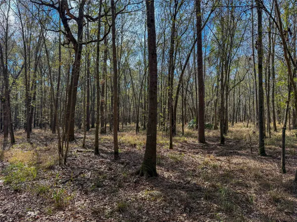 $1,182,500 | 0 Hwy 61 Devers Tx 77538, Devers, TX 77538