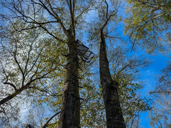 $1,182,500 | 0 Hwy 61 Devers Tx 77538, Devers, TX 77538