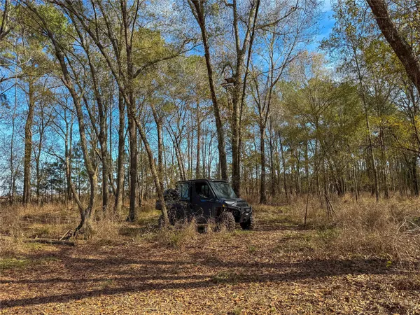 $1,182,500 | 0 Hwy 61 Devers Tx 77538, Devers, TX 77538