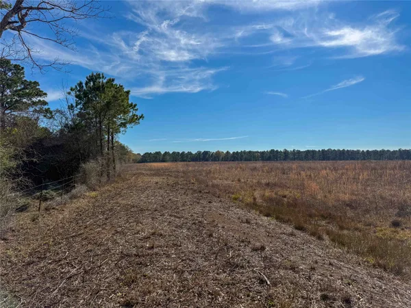 $1,182,500 | 0 Hwy 61 Devers Tx 77538, Devers, TX 77538