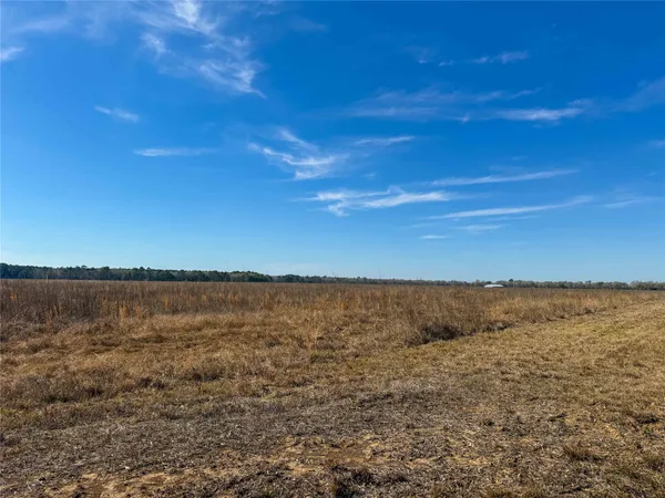$1,182,500 | 0 Hwy 61 Devers Tx 77538, Devers, TX 77538