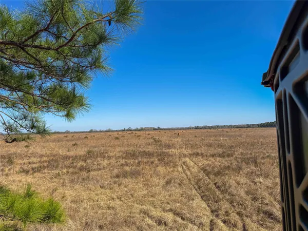 $1,182,500 | 0 Hwy 61 Devers Tx 77538, Devers, TX 77538