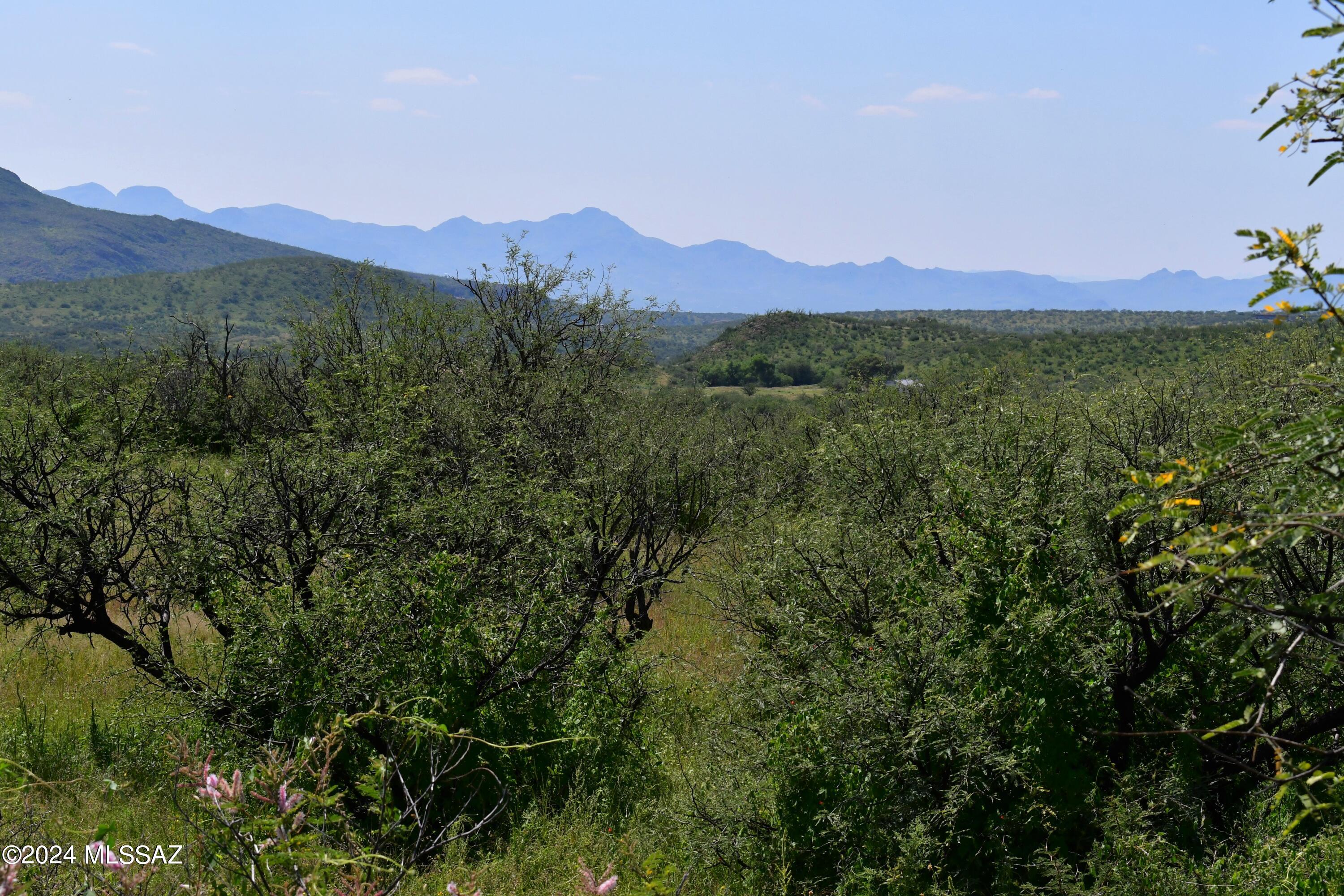 Tbd Tbd Mesquite Trail, Unit 132 Rio Rico, AZ 85648 - Photo 5 of 23