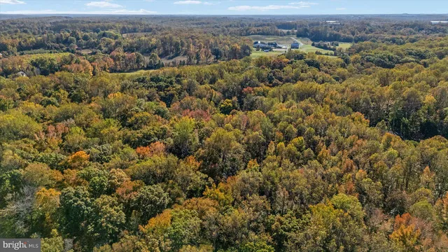 a view of a livingroom with furniture kitchen wooden floor and windows