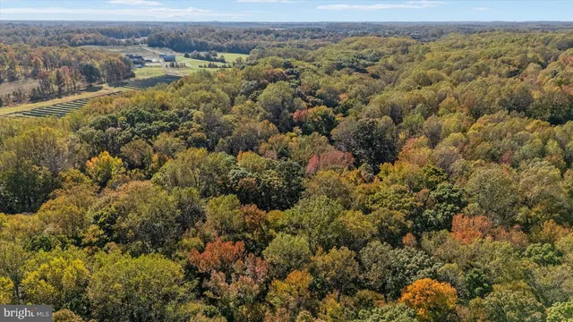 an empty room with wooden floor fireplace and windows