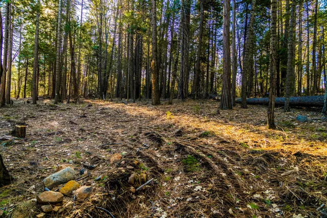 a backyard of a house with lots of green space
