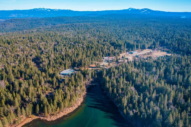 a view of a lake with a tree