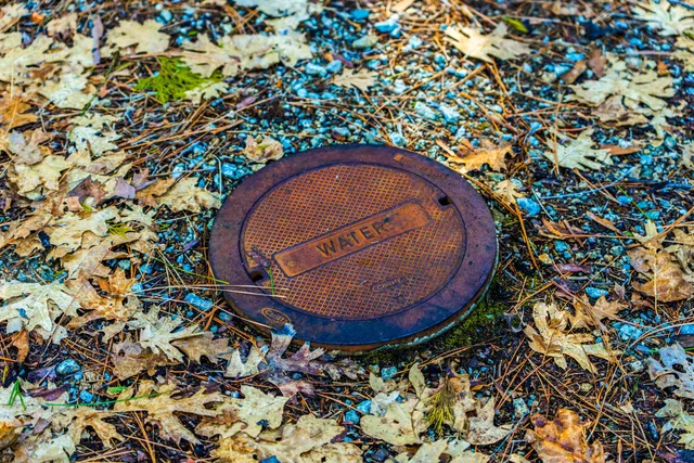 an aerial view of a house with a backyard and trees
