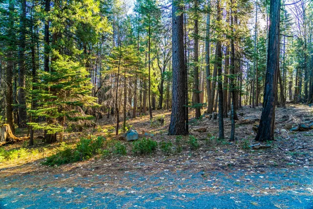 a view of outdoor space and garden