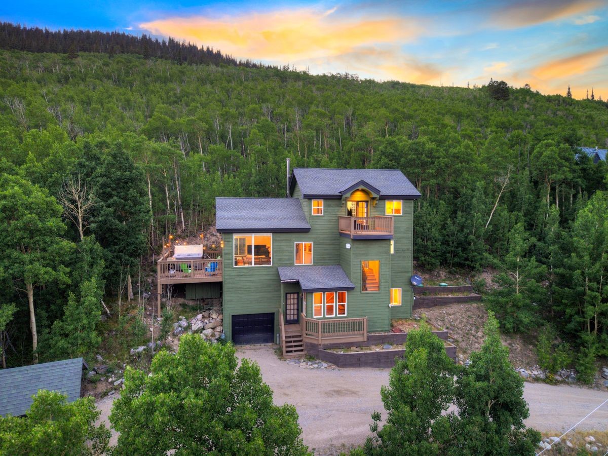 1095 Quartzville Road Alma, CO 80420 - Photo 45 of 48