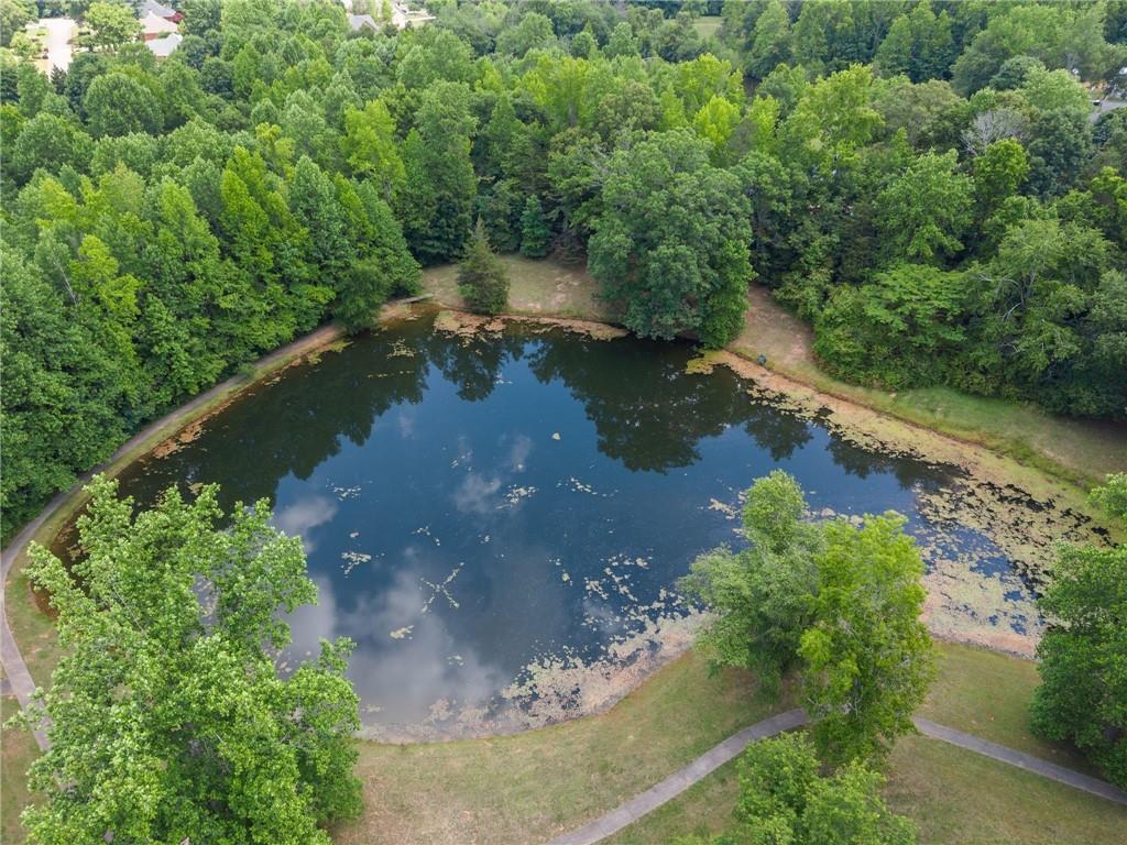 6643 Windvane Point Clermont, GA 30527 - Photo 78 of 88