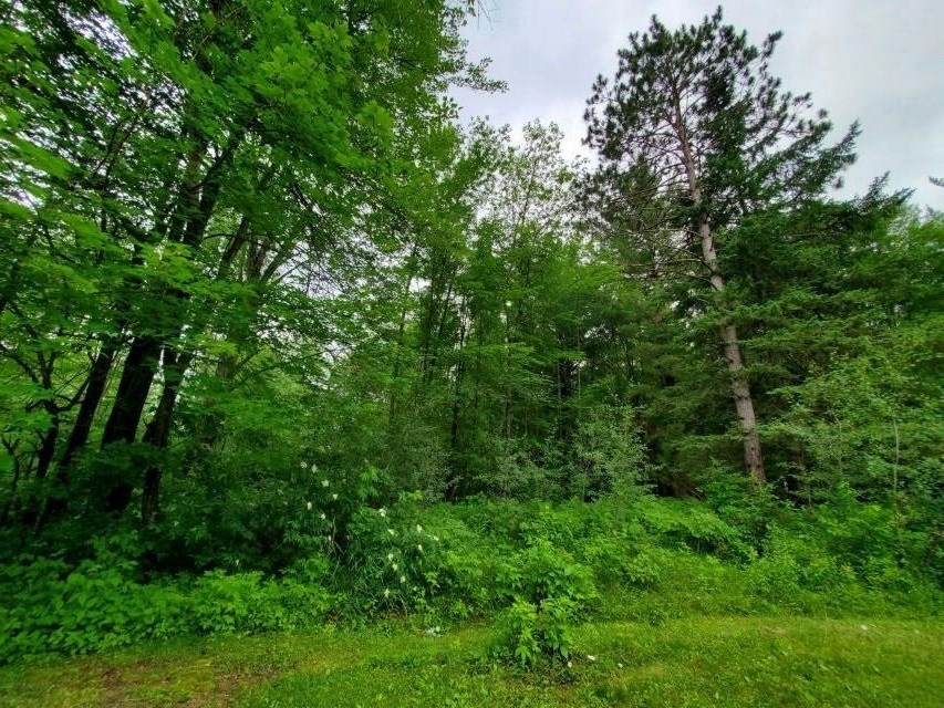 7875 Maple Ridge Road Alger, MI 48610 - Photo 8 of 24 1924003-1e33fe3a-700d-42ba-abef-3f19210c8b15.JPG