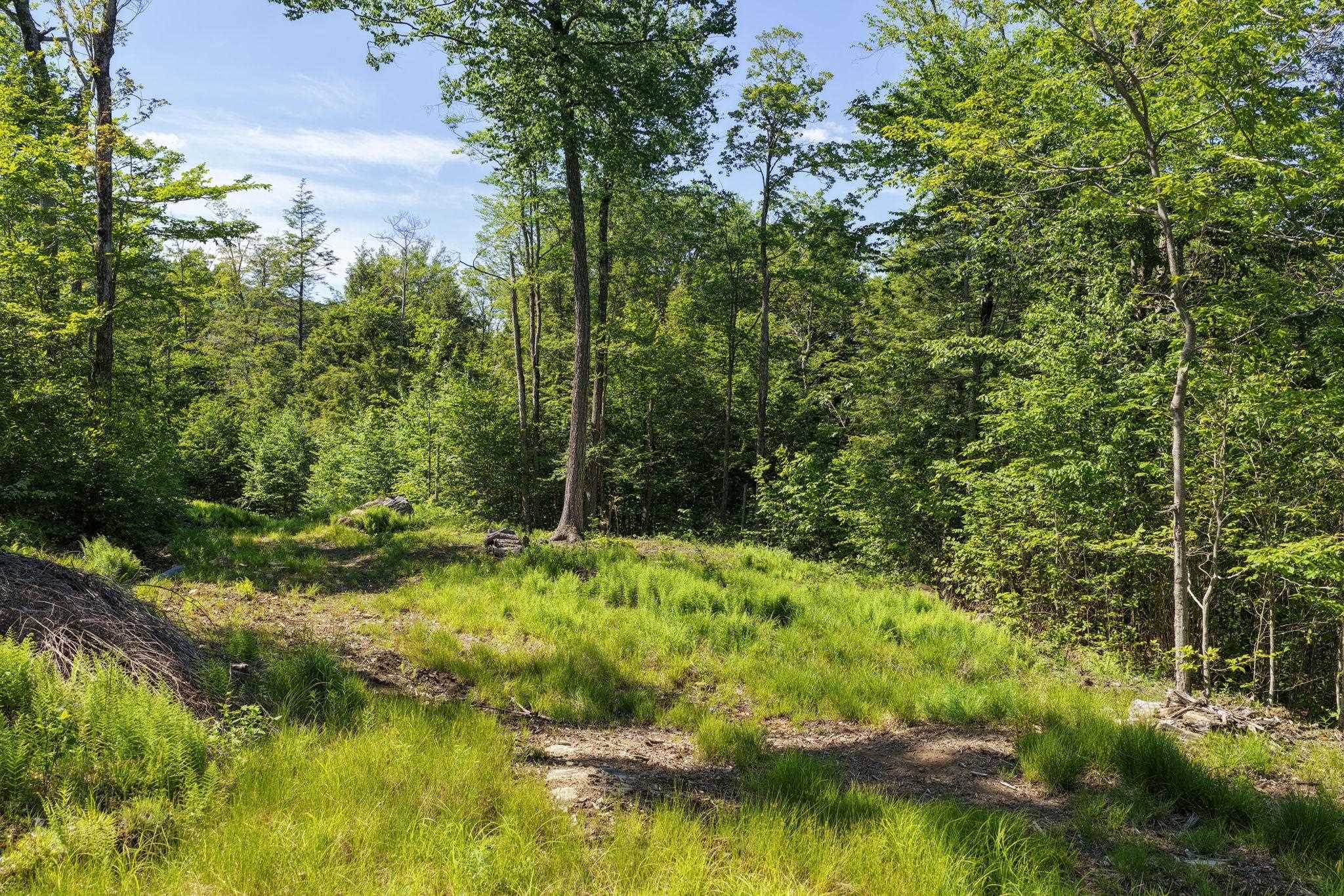 381 Whitaker Farm Road Marlboro, VT 05301 - Photo 2 of 20