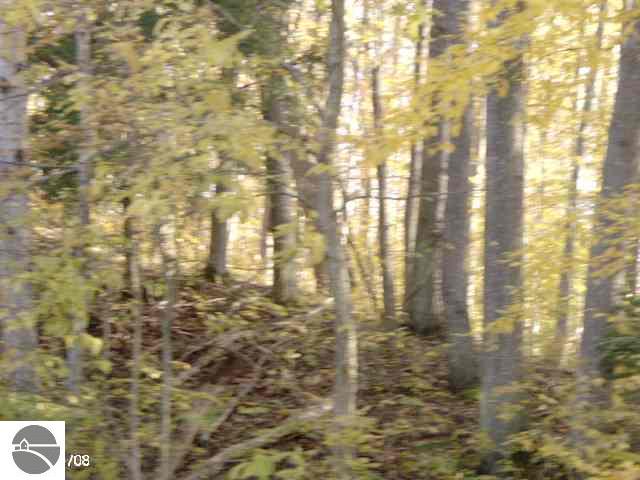 0 Southwest Ingersoll Road Fife Lake, MI 49633 - Photo 9 of 13 1721042-8.JPG