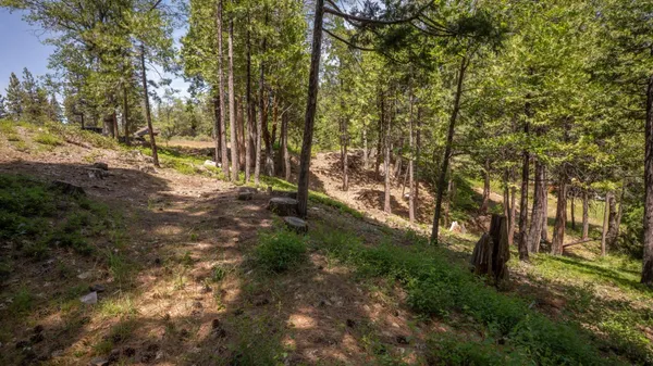 $18,000 | 2690 Cheyenne Way, Dorrington, CA 95223