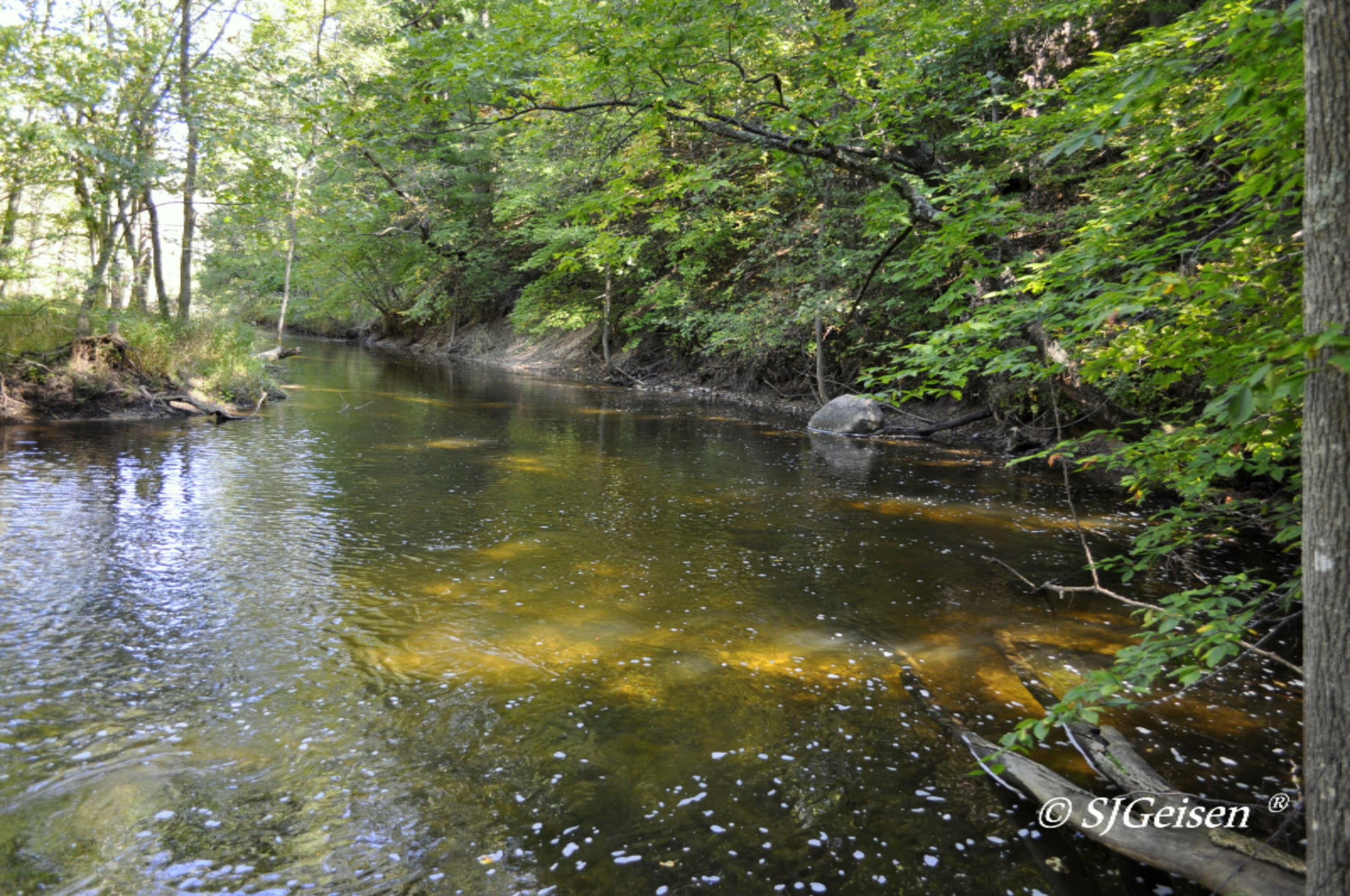 2 Muskrat Road Gowen, MI 49326 - Photo 1 of 16 Muskrat-1