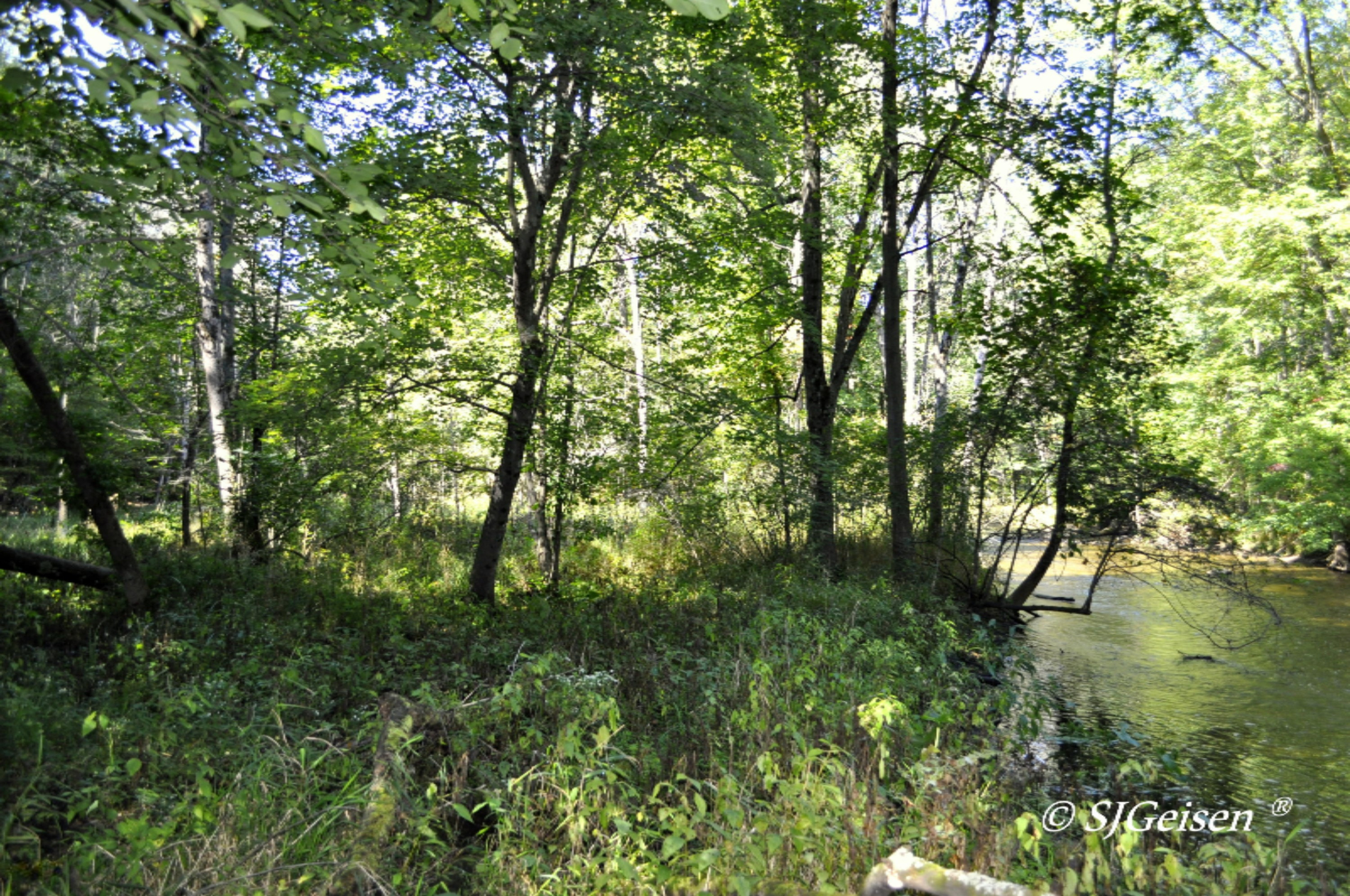 2 Muskrat Road Gowen, MI 49326 - Photo 12 of 16 Muskrat-12
