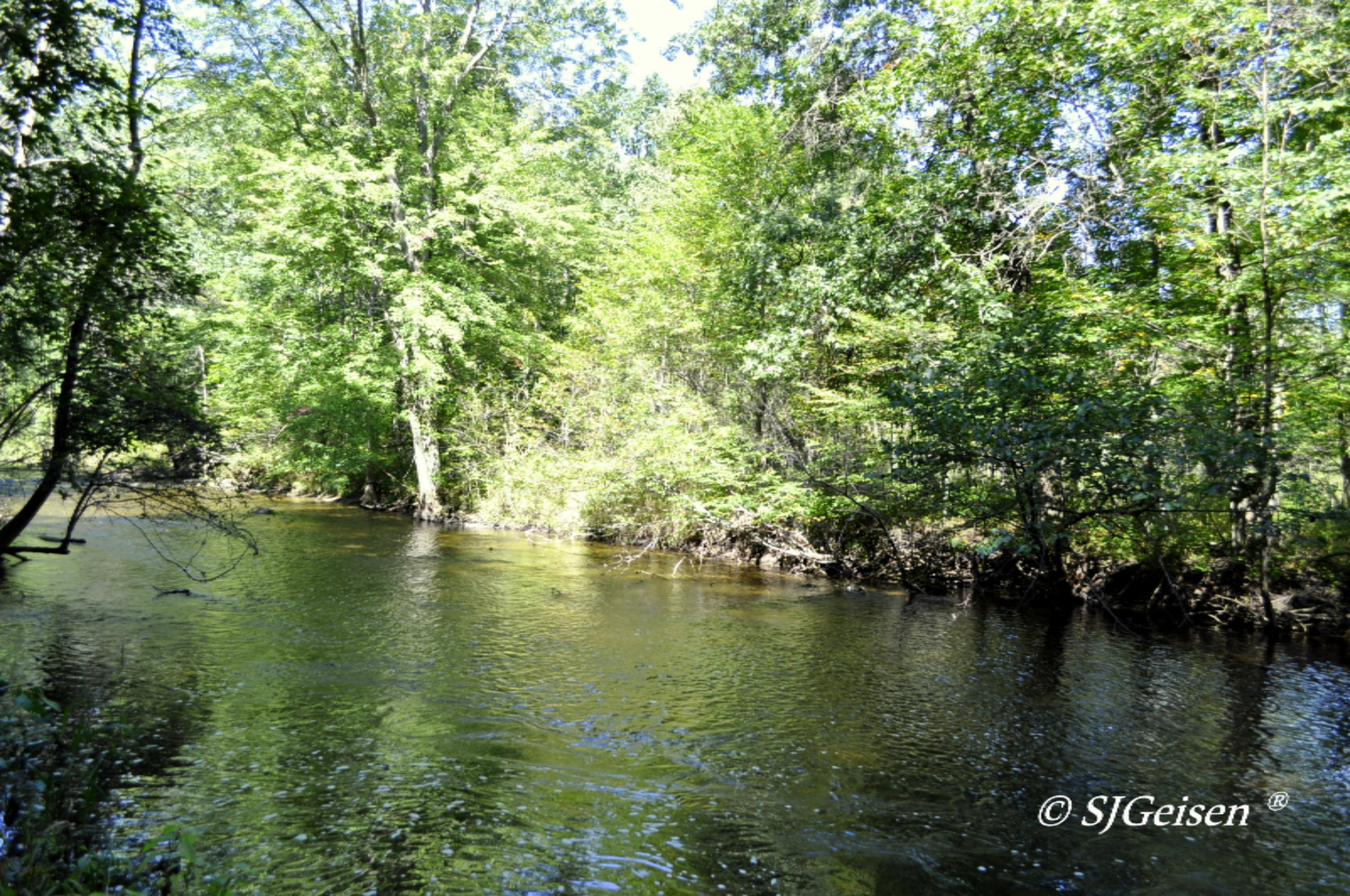 2 Muskrat Road Gowen, MI 49326 - Photo 13 of 16 Muskrat-13