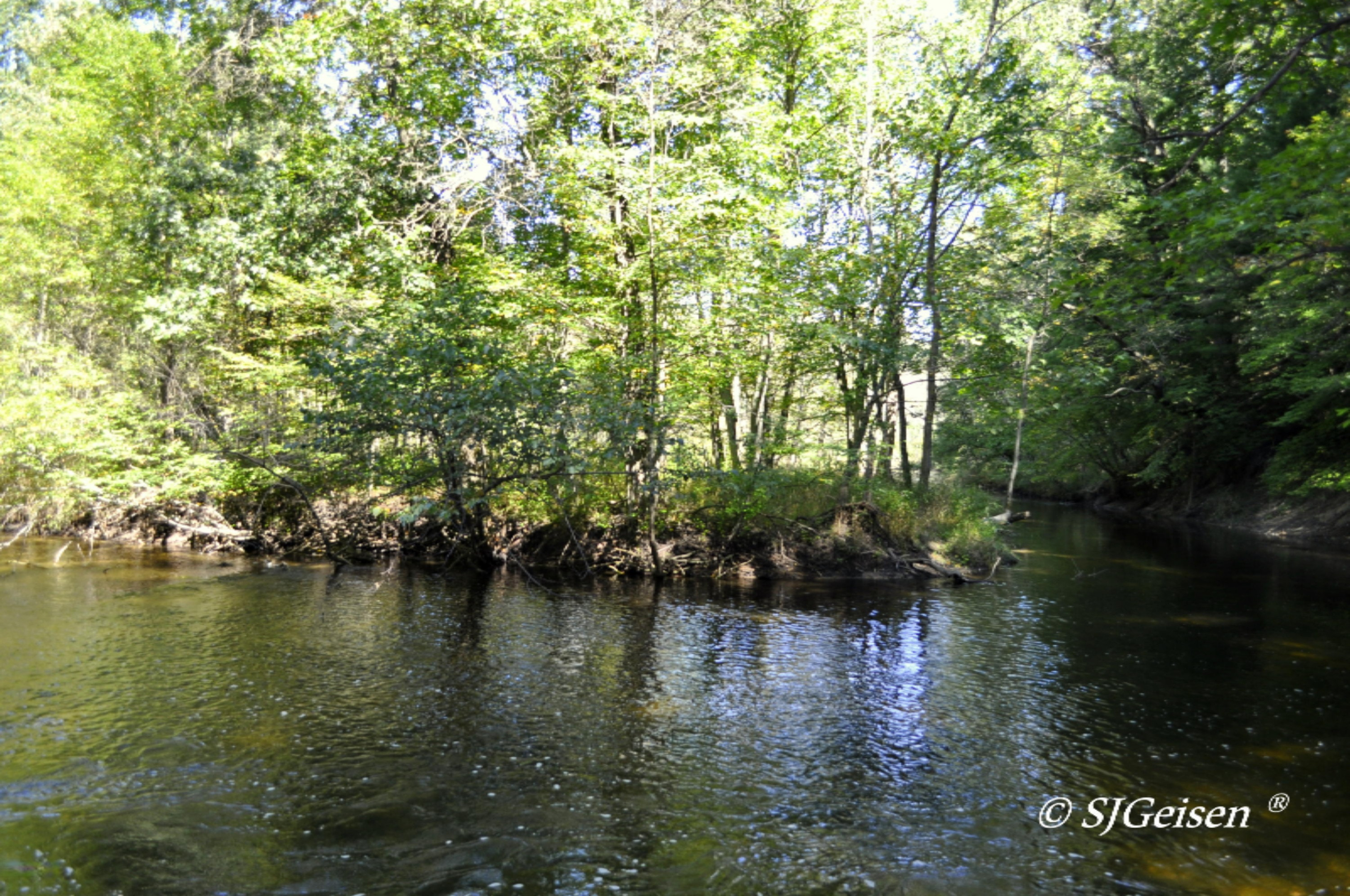2 Muskrat Road Gowen, MI 49326 - Photo 14 of 16 Muskrat-14