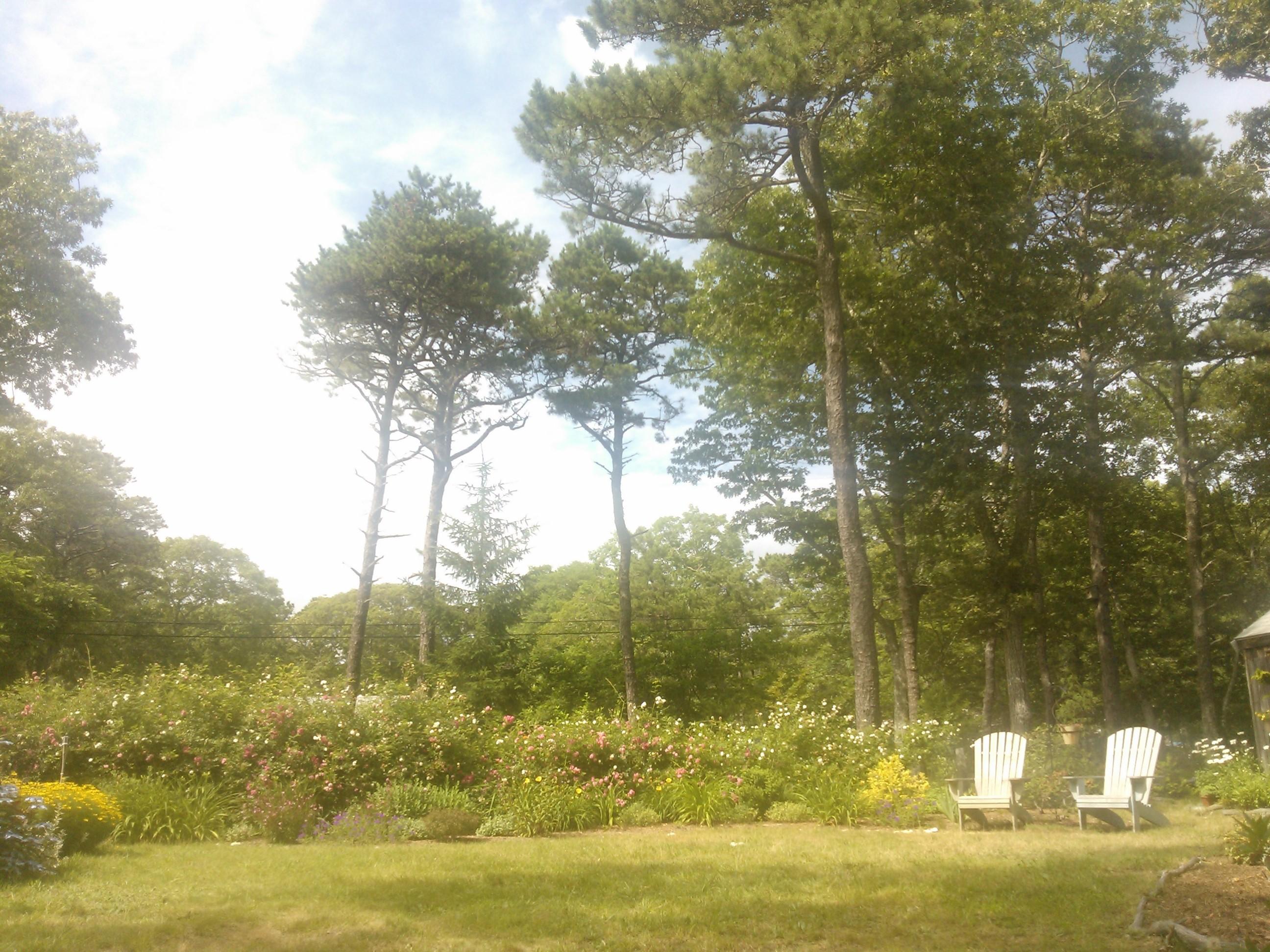 265 Oak Ridge Road Eastham, MA 02642 - Photo 35 of 35 Rear Yard