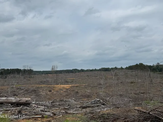 $1,032,979 | 333 Off Highway, Coffeeville, MS 38922