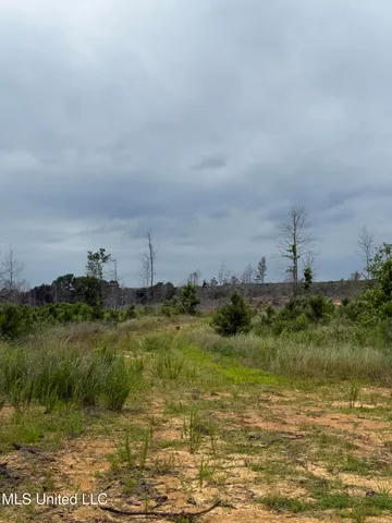 $1,032,979 | 333 Off Highway, Coffeeville, MS 38922