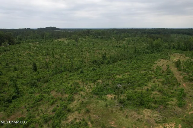 $1,032,979 | 333 Off Highway, Coffeeville, MS 38922