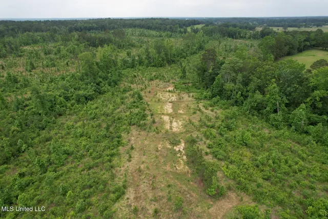 $1,032,979 | 333 Off Highway, Coffeeville, MS 38922