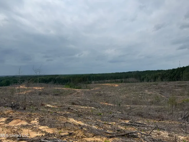 $1,032,979 | 333 Off Highway, Coffeeville, MS 38922