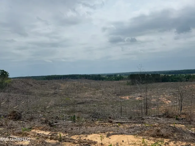 $1,032,979 | 333 Off Highway, Coffeeville, MS 38922