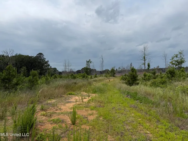 $1,032,979 | 333 Off Highway, Coffeeville, MS 38922