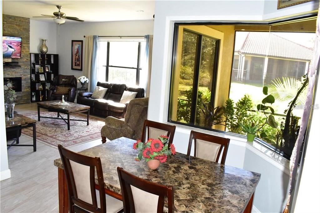 20104 Pond Spring Way Tampa, FL 33647 - Photo 13 of 51 a living room with furniture and a potted plant
