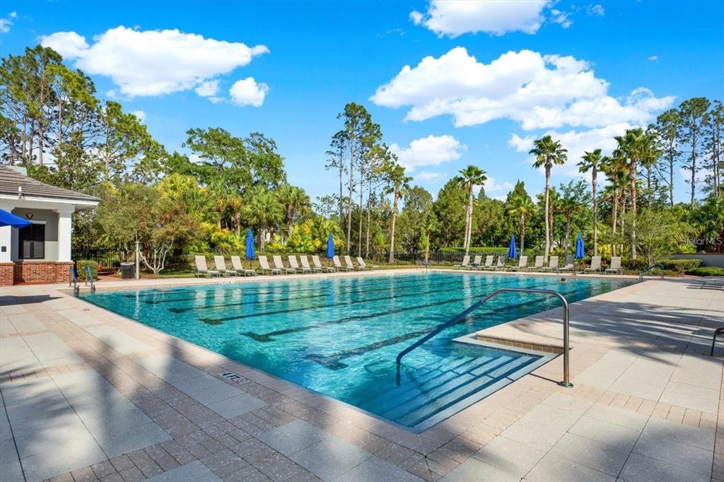 20104 Pond Spring Way Tampa, FL 33647 - Photo 42 of 51 a view of a park with large trees