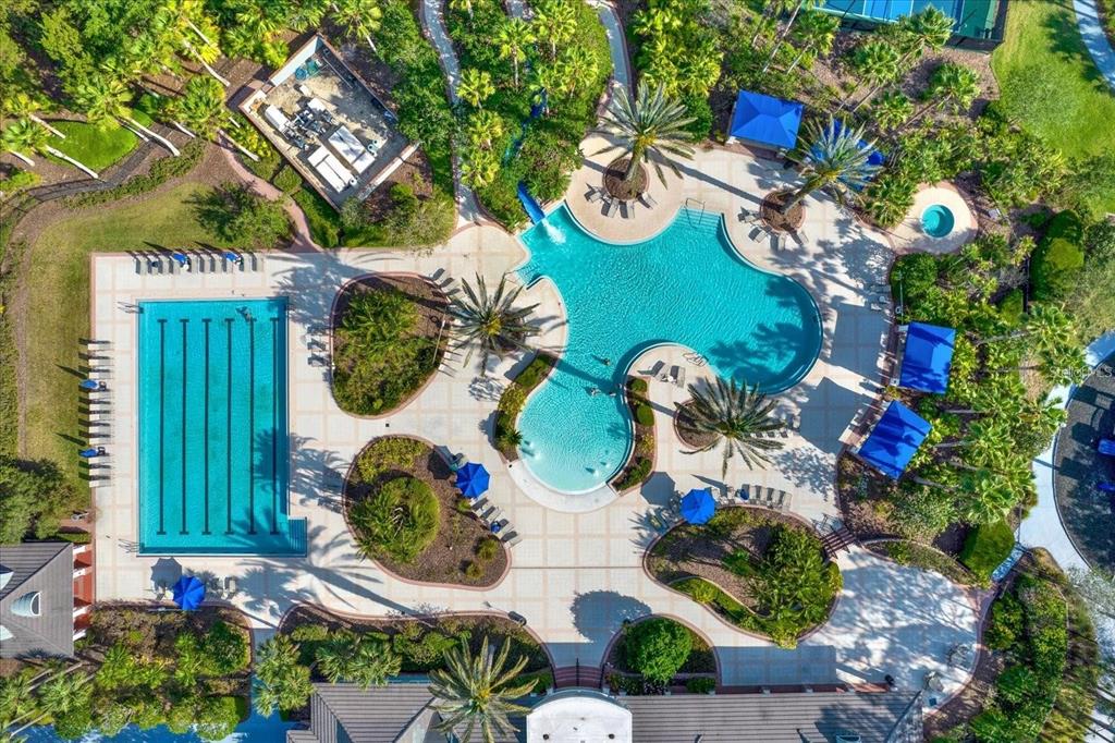 20104 Pond Spring Way Tampa, FL 33647 - Photo 47 of 51 a view of a bunch of flowers and flowers