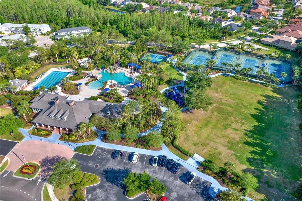 20104 Pond Spring Way Tampa, FL 33647 - Photo 48 of 51 a view of a garden with plants