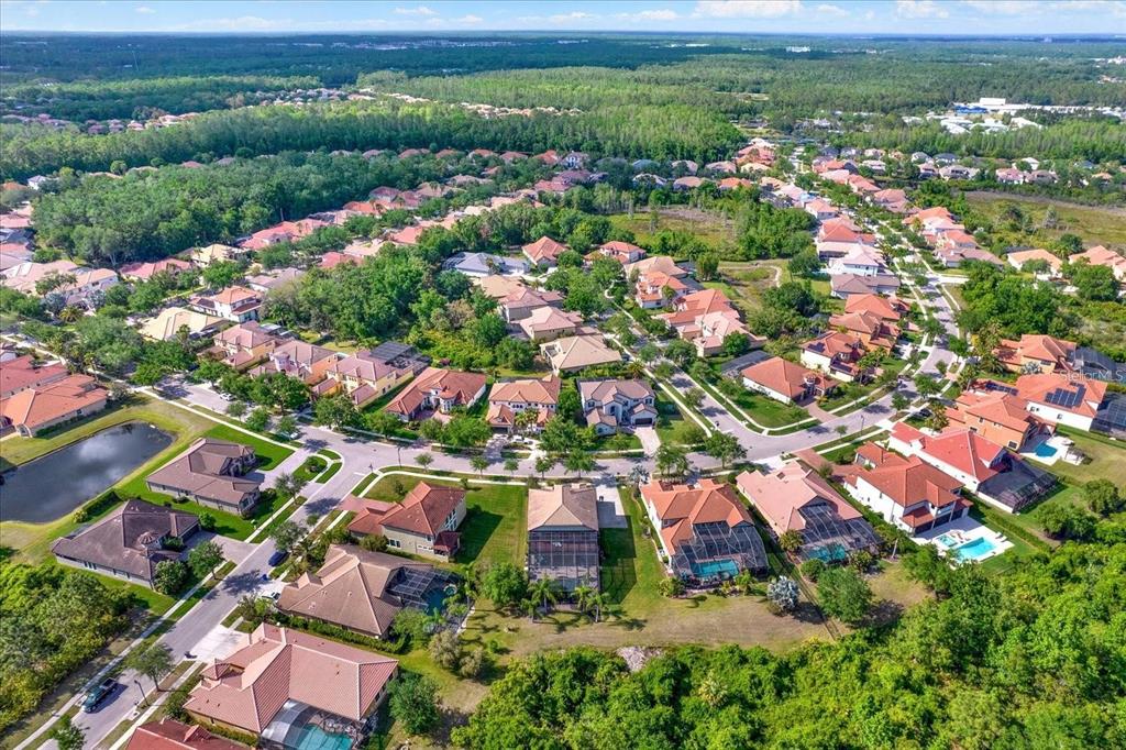 20104 Pond Spring Way Tampa, FL 33647 - Photo 51 of 51 an aerial view of residential houses with outdoor space and street view