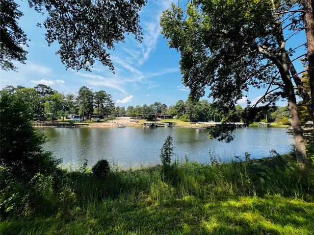 a body of water with a tree in the background