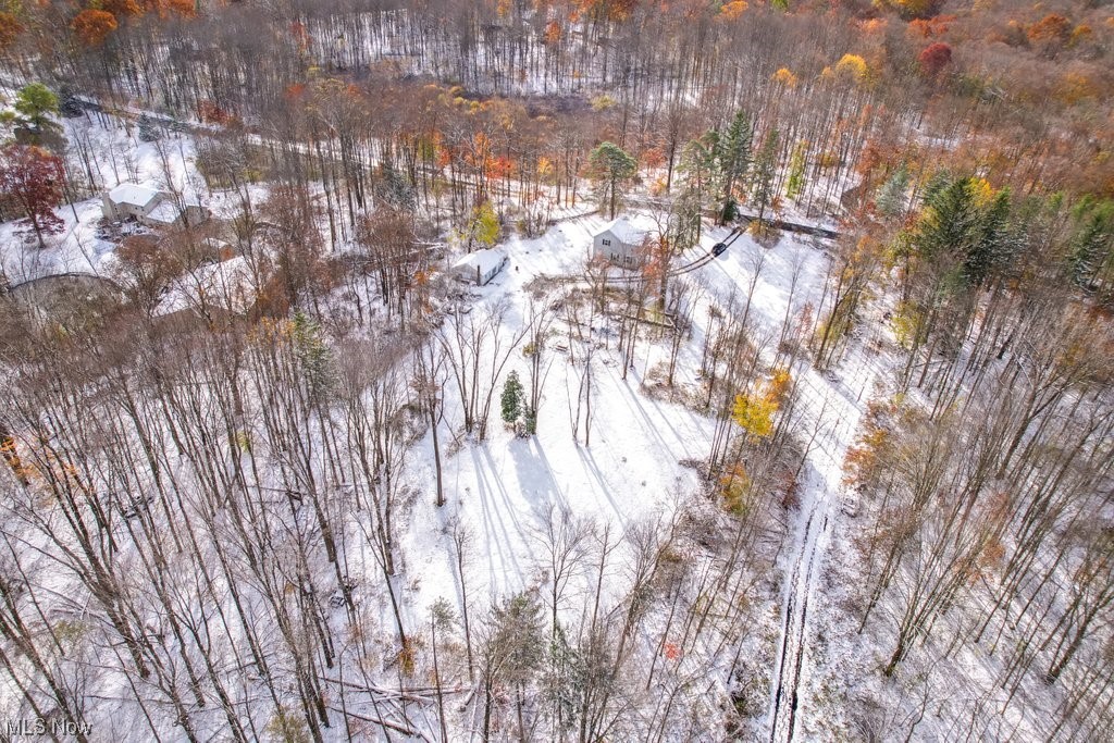 7456 Jackson Road Chagrin Falls, OH 44023 - Photo 13 of 30 View of snowy aerial view