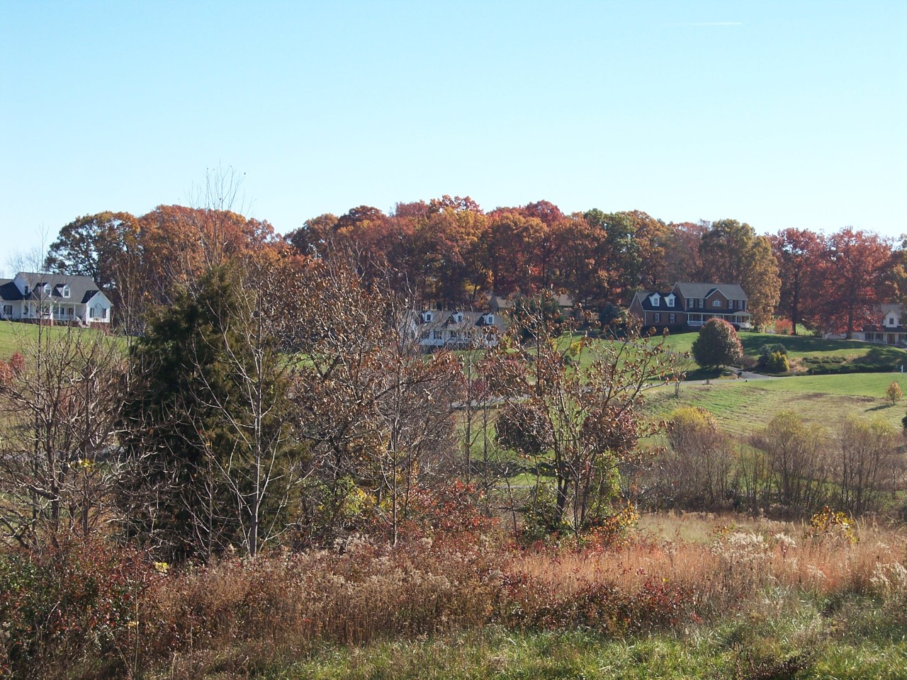 307 Aftons Meadow Road Vinton, VA 24179 - Photo 13 of 44 Views gorgeous in the fall