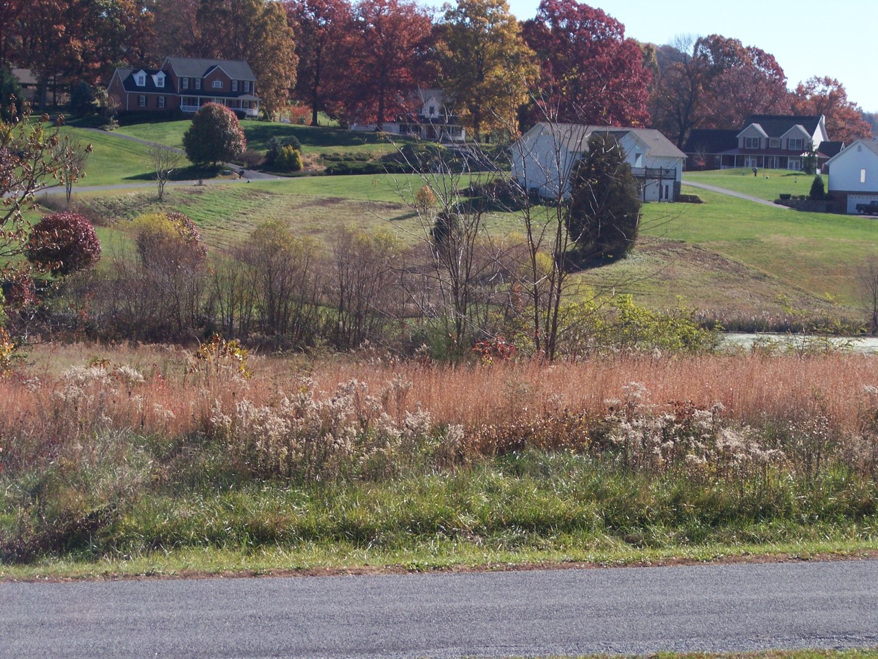 307 Aftons Meadow Road Vinton, VA 24179 - Photo 14 of 44 No homes right in front of you