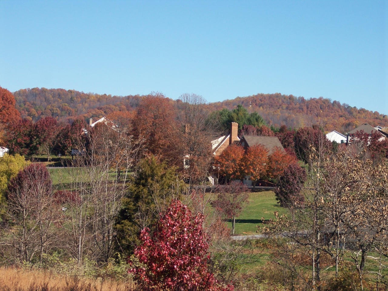 307 Aftons Meadow Road Vinton, VA 24179 - Photo 4 of 44 Views galore - private quiet setting